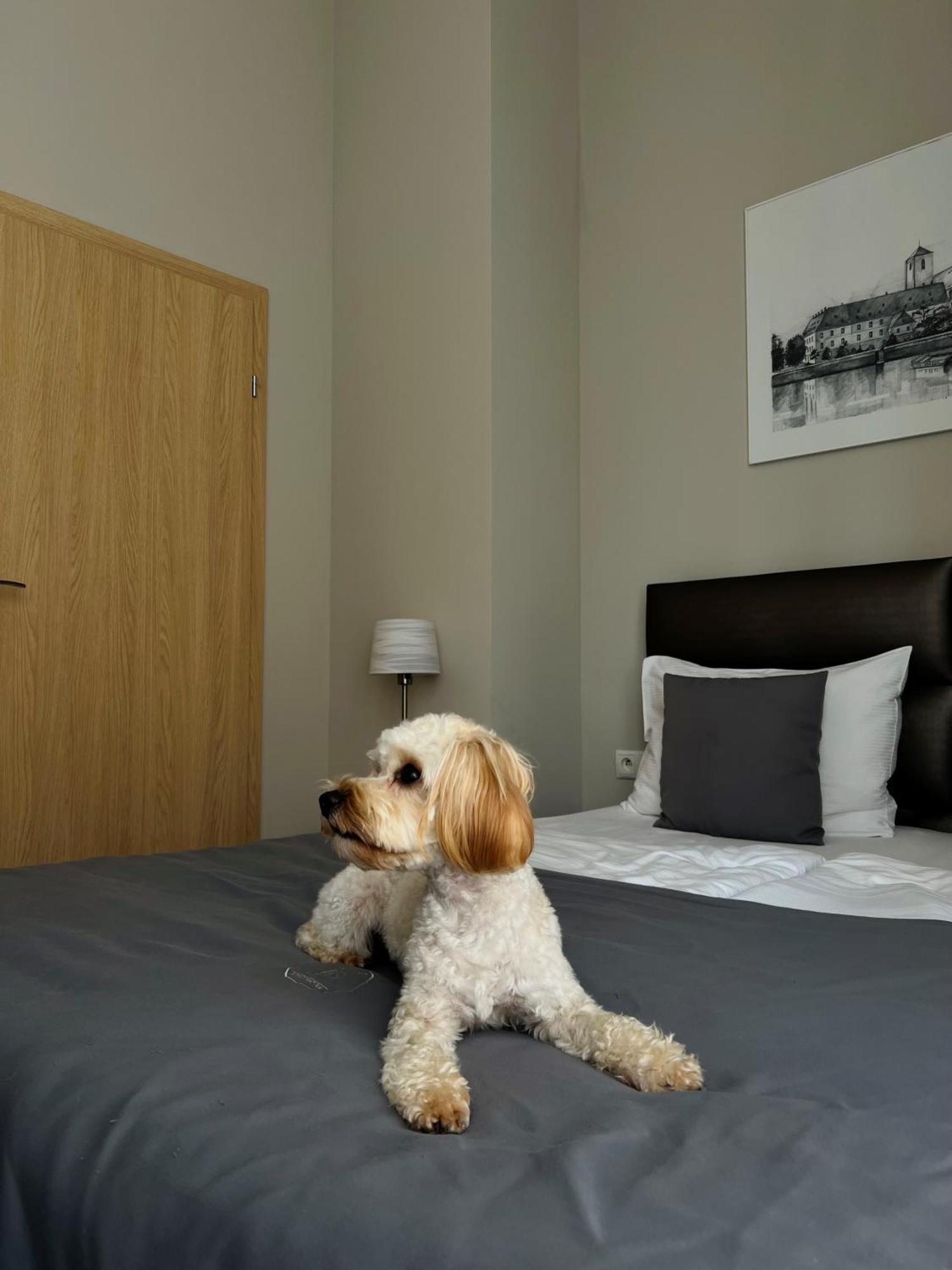 Joyinn Aparthotel Wroclaw Ngoại thất bức ảnh